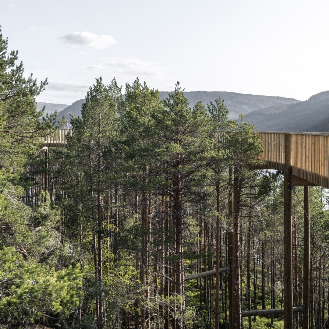 Tüm Doğaseverlerin Erişebileceği Bir Ağaç Tepesi Yürüyüş Yolu