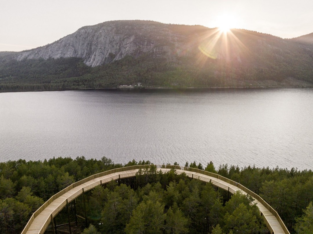 Tüm Doğaseverlerin Erişebileceği Bir Ağaç Tepesi Yürüyüş Yolu