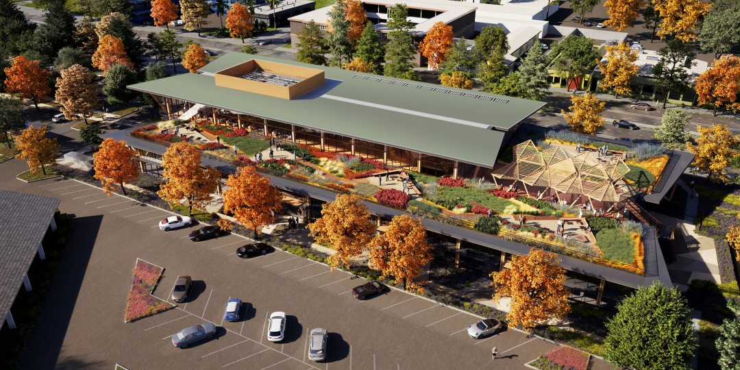 Verdant Sanctuary Verdant Sanctuary