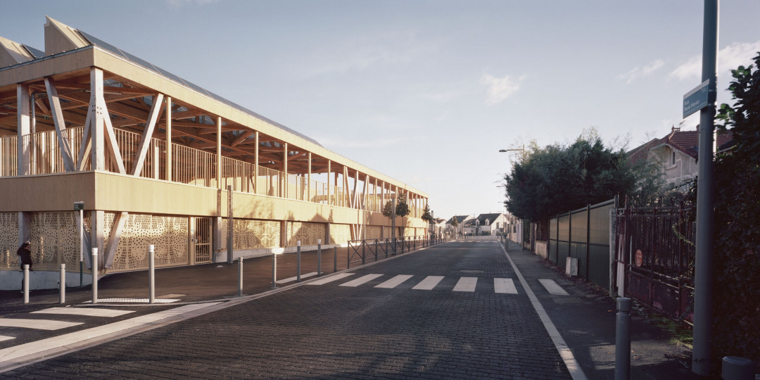 Oiseau Lyre Oiseau Lyre