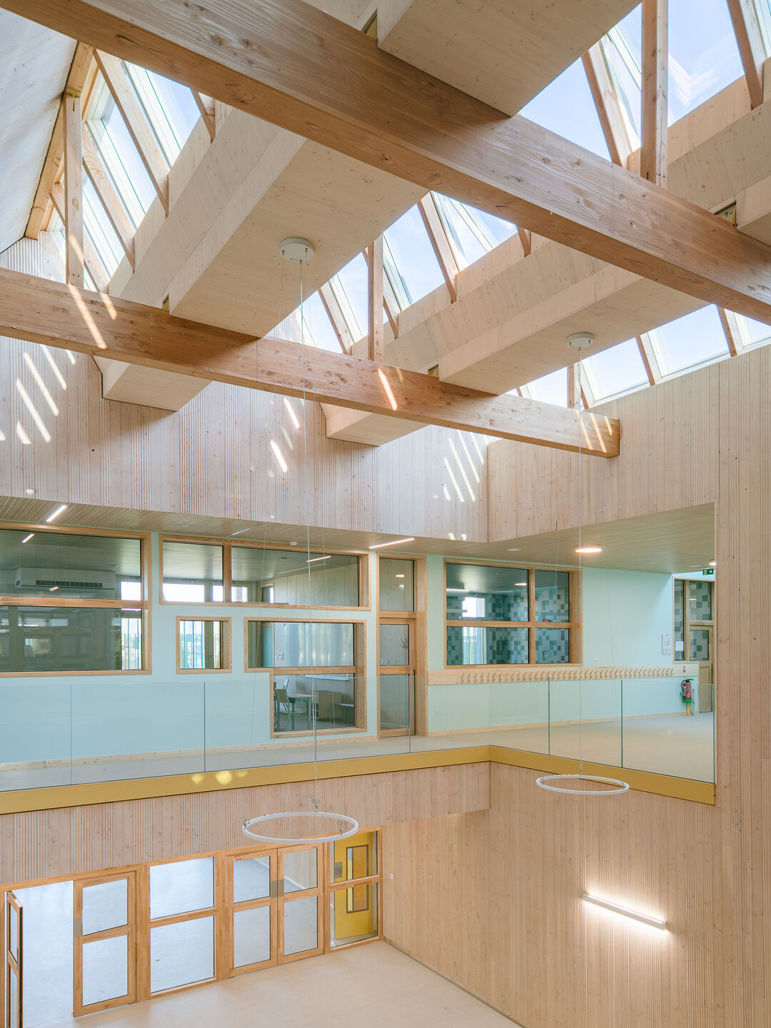 Oiseau Lyre Oiseau Lyre