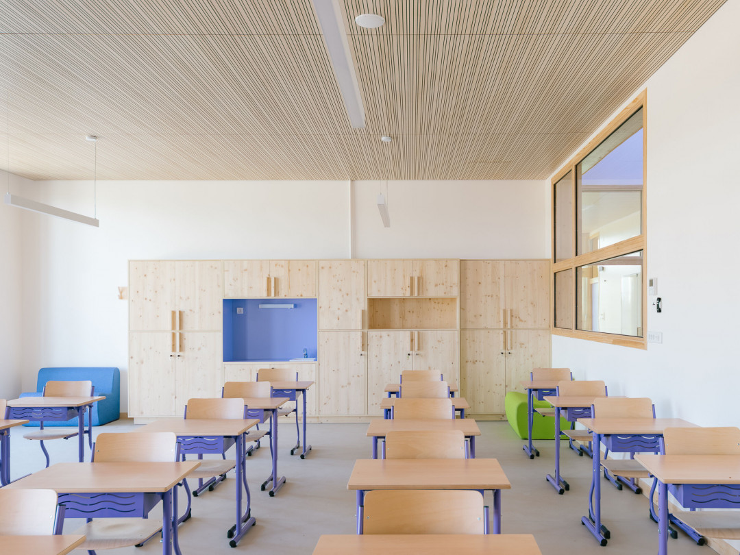 Oiseau Lyre Oiseau Lyre