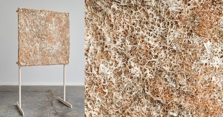 Sürdürülebilir Bir Ses Emici Panel