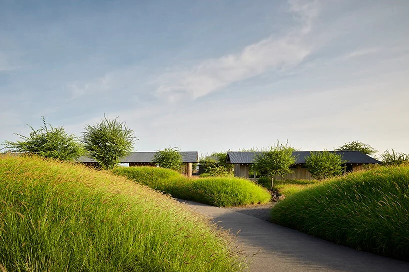 Doğa Dostu Yapı Doğa Dostu Yapı