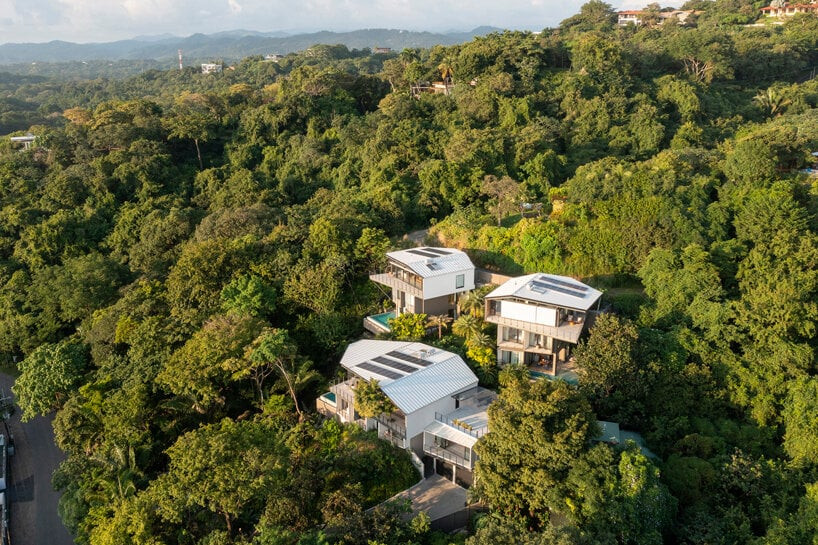 TREETOP JUNGLE VILLAS