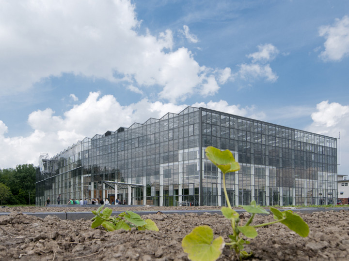 Mimarlıkta Sera Teknolojisi Nedir?