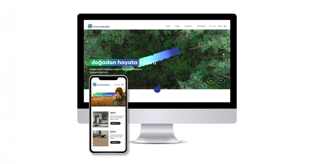 Kastamonu Entegre web sitesi