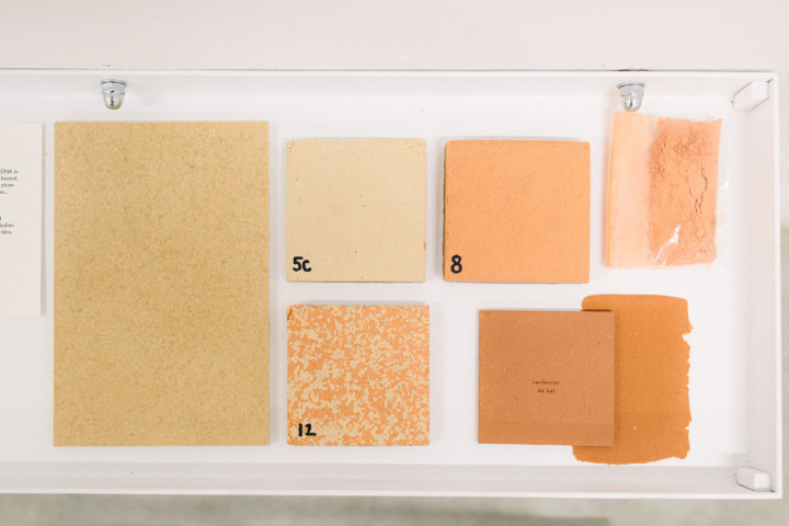 Sürdürülebilir Tasarımın Geleceği “Linolyum Karolar"