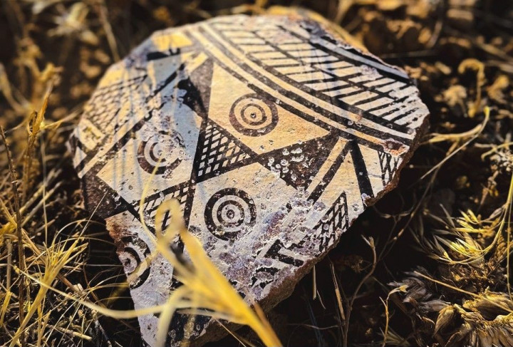 Anadolu'da İtalyan İzleri, 4 Ekim'de ANAMED'de