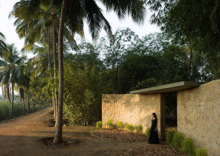 Hindistan’da Ağaca Saygı Niteliğinde Bir Tasarım