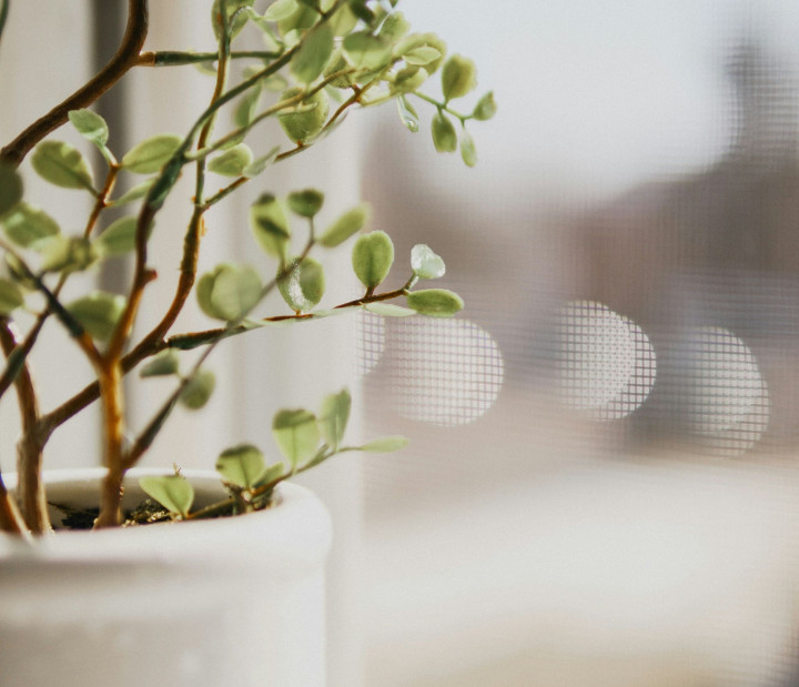 “Yeşil Ama Plastik: İç Mekânda Sahte Bitkilerin Çevresel Bedeli”