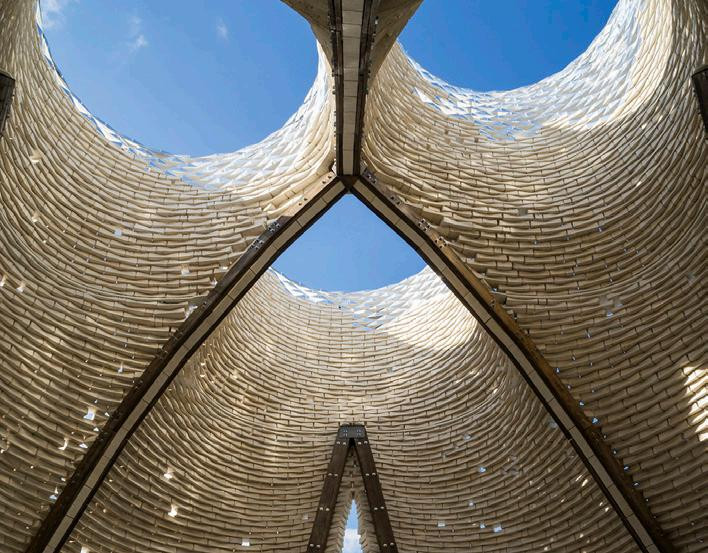 Miselyum Yapılar Sürdürülebilir Mimarlığın Geleceği Olabilir mi?