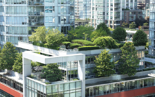 Kentsel Isı Adalarına Karşı  Yeşil Çatı Çözümü