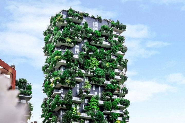 Biyofili, Yaşam Alanlarını Baştan Yazıyor