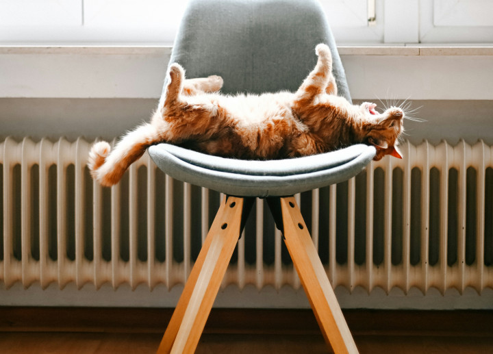 Radyatör Seçerken Yapılan En Yaygın Hatalar