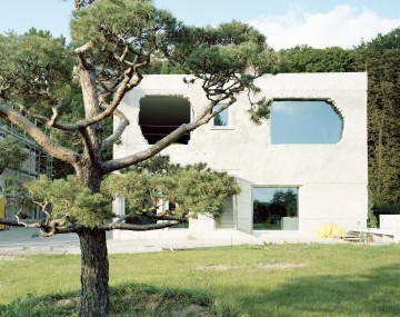 Çirkinliğin Estetiği