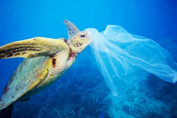 #PLASTİKKİRLİLİĞİNEHAYIR!