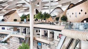 Amerikan Sert Ağaç Uygulamaları 1: Hayder Aliyev Havaalanı