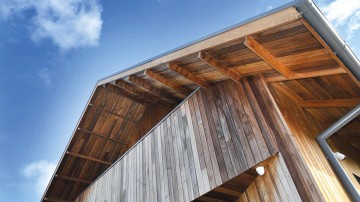 Amerikan Sert Ağaç Uygulamaları 3: The Hungry Fox