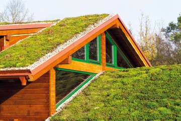 Yaşanabilir Mimarinin Azami Eşiği: Yeşil Çatılar