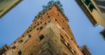 Kule Yapıları 5: Guinigi Kulesi