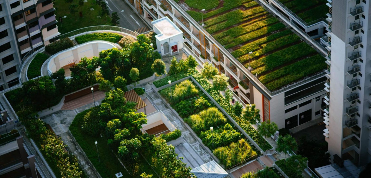 Sürdürülebilirlikte Yeni Cephe: Toprak Altındaki Karbon