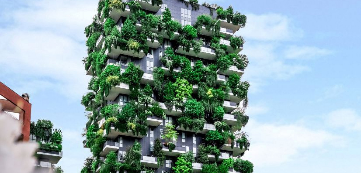 Biyofili, Yaşam Alanlarını Baştan Yazıyor