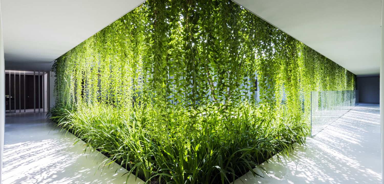 Biyofilik Tasarım Yön Değiştiriyor