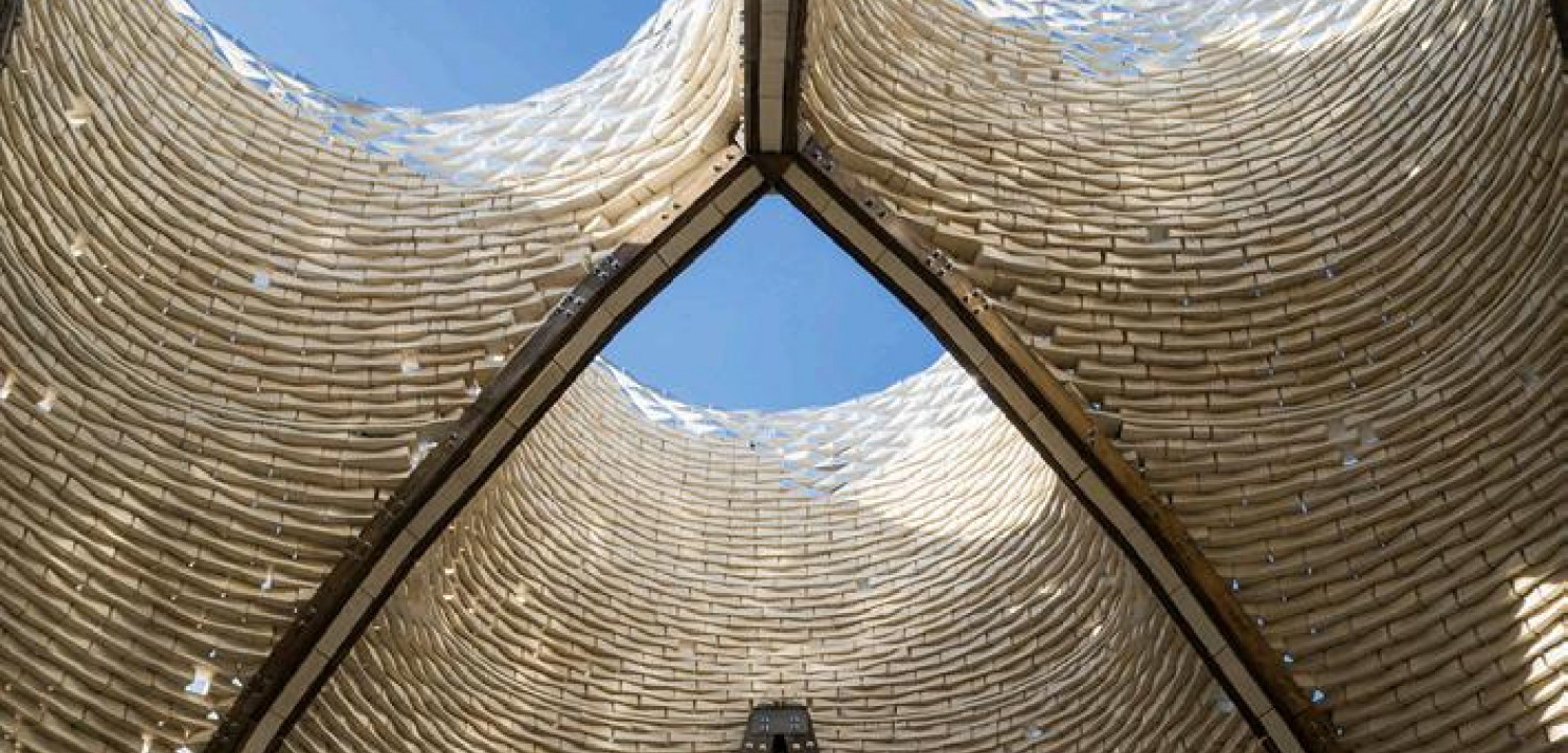 Miselyum Yapılar Sürdürülebilir Mimarlığın Geleceği Olabilir mi?